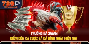 Trường Gà Savan - Điểm Đến Cá Cược Gà Đá Đỉnh Nhất Hiện Nay