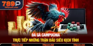 Đá Gà Campuchia - Trực Tiếp Những Trận Đấu Siêu Kịch Tính