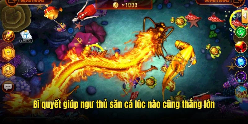 Bí quyết giúp ngư thủ săn cá lúc nào cũng thắng lớn