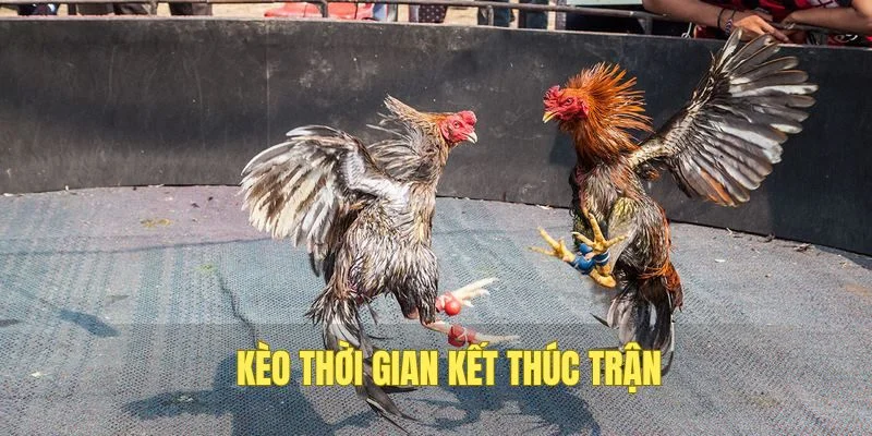 Kèo xác định đúng thời gian kết thúc