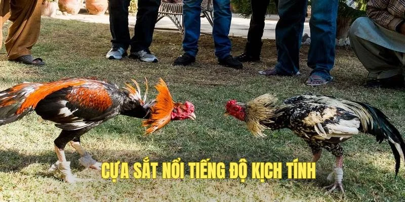 Bạn luôn có 3 cửa để đầu tư