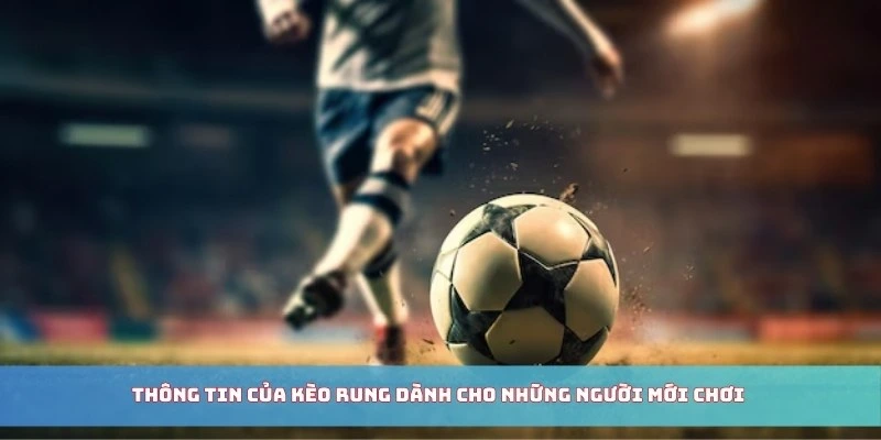 Thông tin của kèo rung dành cho những người mới chơi