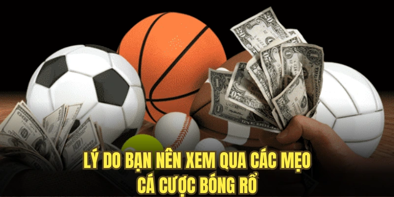 Lý do bạn nên xem qua các mẹo cá cược bóng rổ