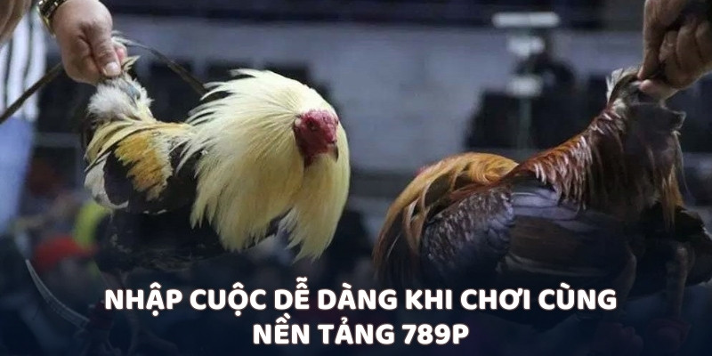 Nhập cuộc dễ dàng khi chơi cùng nền tảng 789P