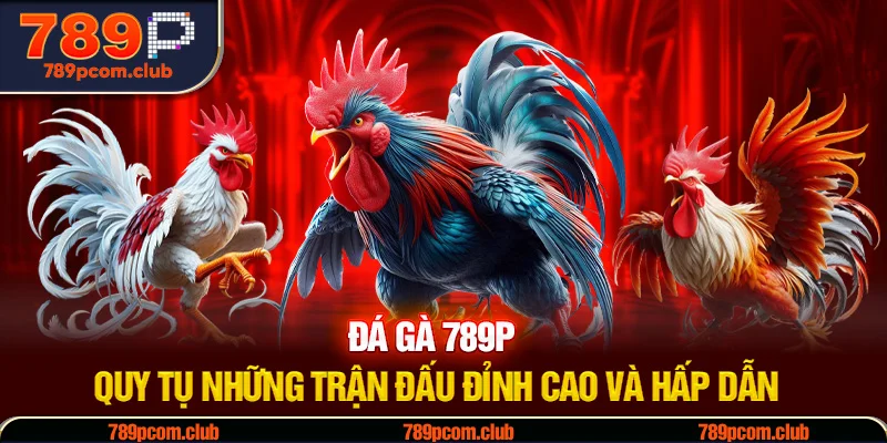Đá Gà 789P - Quy Tụ Những Trận Đấu Đỉnh Cao Và Hấp Dẫn