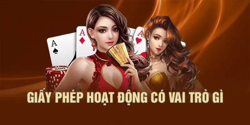 Vai trò của giấy phép hoạt động 789P